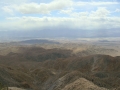 Joshua Tree NP